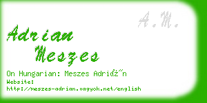 adrian meszes business card